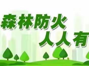 防范森林火灾 守护绿色家园——枧田街乡闵桥初级小学