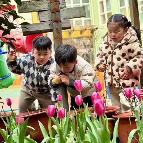 微雨众卉新，一雷惊蛰始 💐小一班