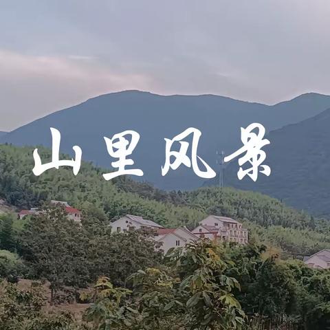 山里风景