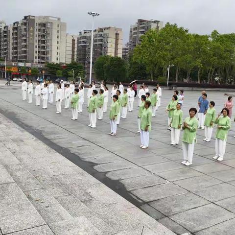 健康养生，户外同行——河源市老干部大学康养班户外展示活动日