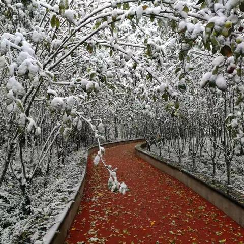 雪景诗画--安岭客美篇