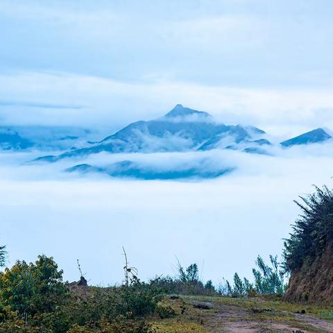 雪山梦，梦雪山