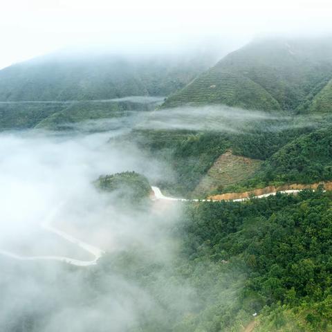 挂在云端上的公路——茂名榕大公路