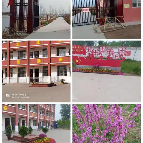 花样年华   别为溺水停下