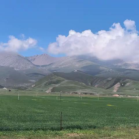 青甘西北大环线之旅