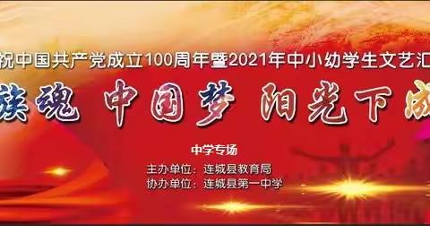 民族魂·中国梦——阳光下成长 （中学组）