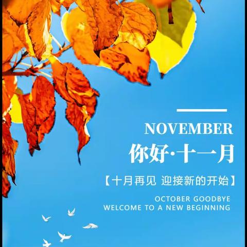 兰的美篇（副本）