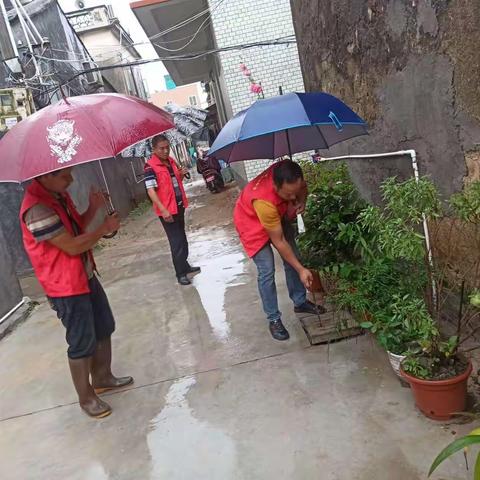 东里镇：积极防御强降雨 全力以赴显担当