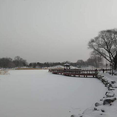 恭喜发财（1月30日）