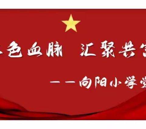 “赓续红色血脉，汇聚共富力量”——南浔向阳小学党支部10月主题党日活动