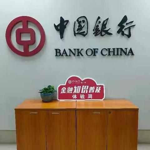 桃江劳动支行开展防范非法集资宣传活动