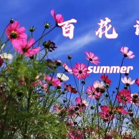 百花谱（夏）（编辑中）