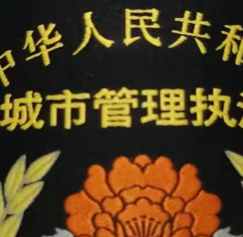 【莲湖城管】莲湖区城管局夜间建筑垃圾清运管理情况（6月18日）