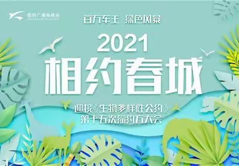 安宁市禄脿幼儿园中二班2021.10.9—2021.10.15