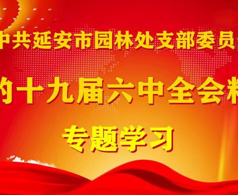 延安市园林处党支部组织学习十九届六中全会精神