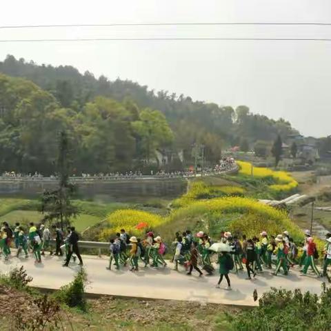 隆昌市渔箭小学“文明豆腐娃，绿色健康行”健步走活动