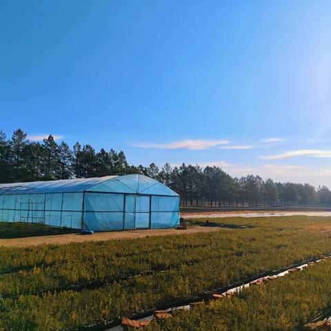 强化基础建设 保障生态修复