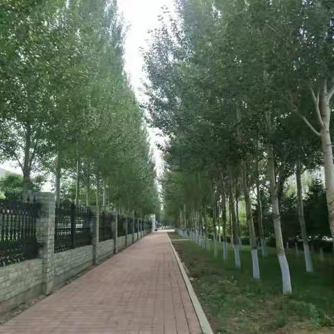 阳光，乐观，积极向上