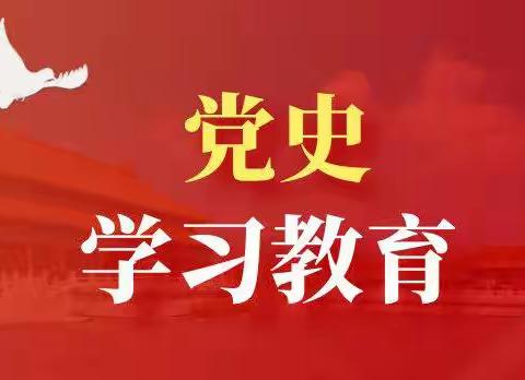 梅林镇党史学习教育“飞入寻常百姓家”