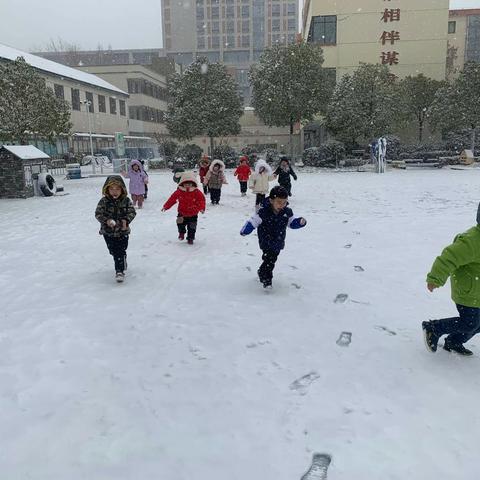 雪中情，雪中趣~