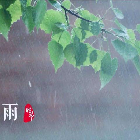 “雨生百谷 润物无声”——曹妃甸区第四小学幼儿园谷雨节气小常识