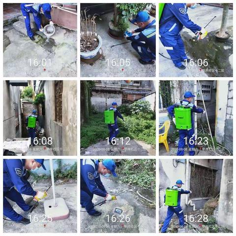 9月17日坪山区委区政府消杀工作动态