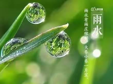 春风化雨，润物无声 ——贾村小学“雨水”节气综合实践活动