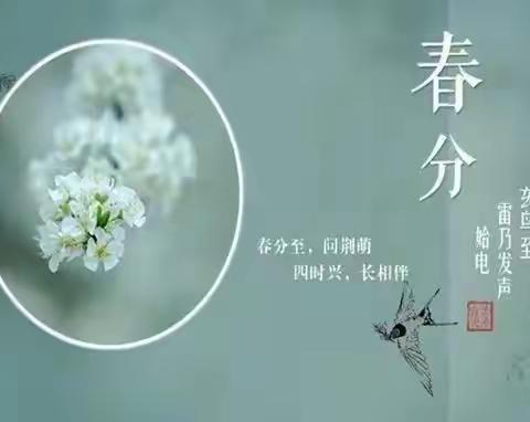 二十四节气与我同行——“春分”主题活动