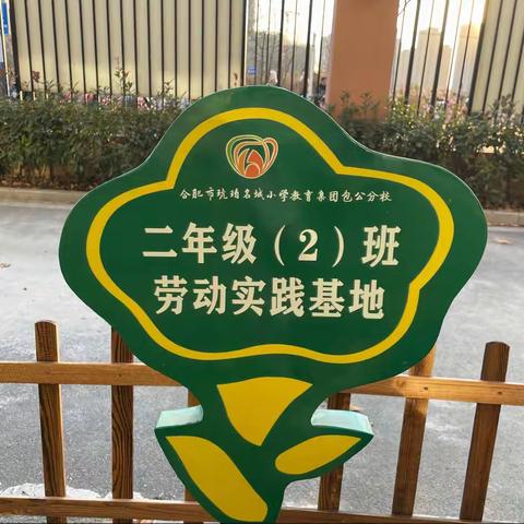 立德树人，劳动为先——合肥市琥珀名城小学教育集团包公分校劳动实践基地系列报道（四）