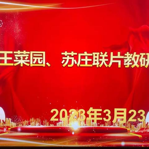 “教以共进 ，研以致远”——王楼镇王菜园小学、苏庄小学联片教研活动纪实。