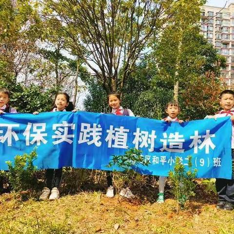 和平小学二（9）班植树节实践活动