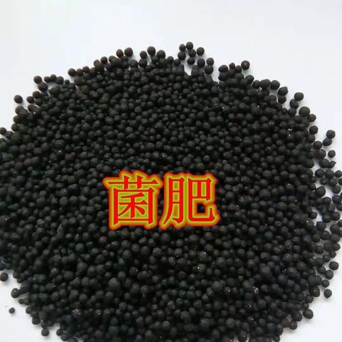 菌肥与菌剂的秘密，纯干货分享！