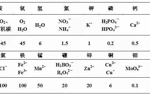 植物的17种必需营养元素
