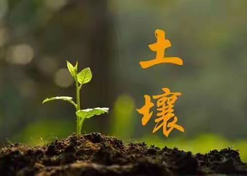 土壤改良的目的与方法