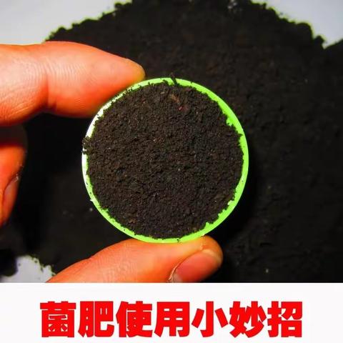 菌肥：一年用几次？什么时间用？每次用多少量？怎样使用效果好？