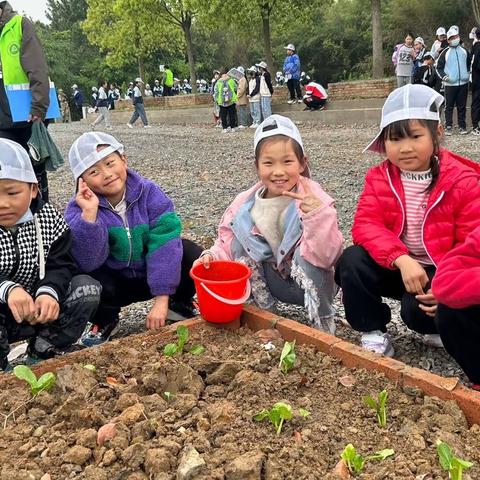 双桥小学2023年春季研学｜徜佯春风踏歌行，广阔天地吟童趣