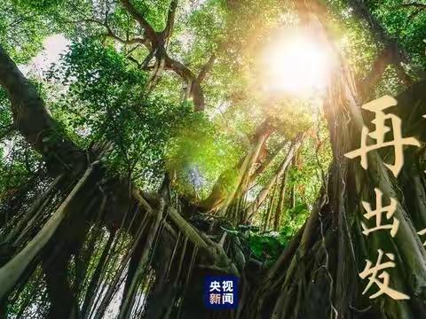 公乐少先队【好少年 习党史】第四季第四期——高山榕树印初心