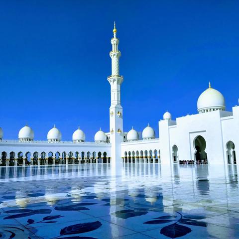 中东行-阿联酋阿布扎比 2019