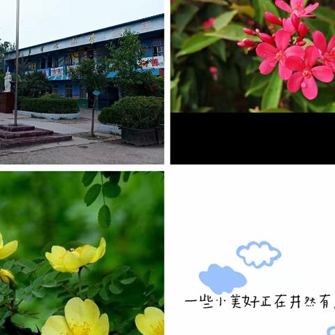 教研相济促成长，携手共进向未来---记赵村乡中心小学语文教研活动