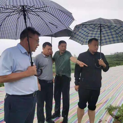 暴雨中，彭婆镇共产党员坚守一线筑牢防汛堤坝