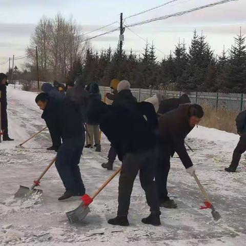 清理积雪党员带头，志愿服务温暖人心