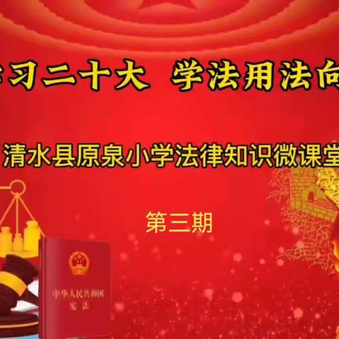 【“三抓三促”行动进行时】青春学习二十大学法用法向未来清水县原泉小学法律微课堂第三期《食品安全篇》