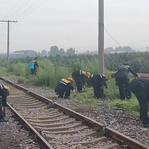 “斩草除根”行动进行时
