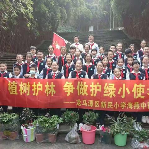 植树护林，争做护绿小使者--龙马潭区-新民小学-海燕中队