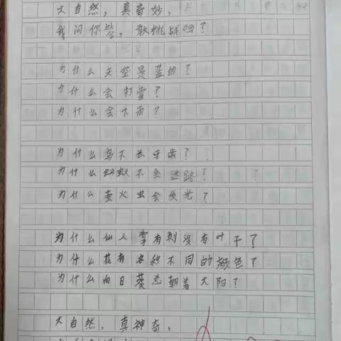 二下《语文园地六》写话优秀作品