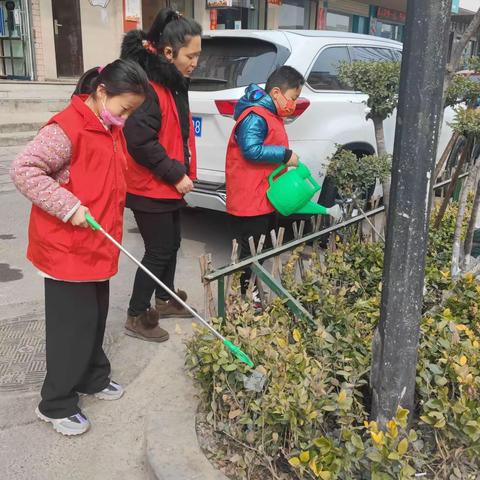 城市管理“三化”建设城区绿化提升改造