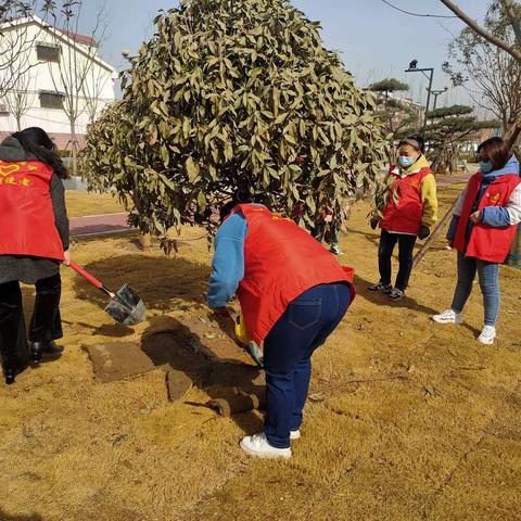 城市管理“三化”建设城区绿化提升改造