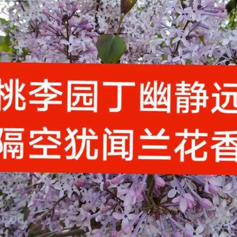 【桃李园丁幽静远、隔空犹闻兰花香】—— 头道河镇邹家屯小学重启线上教学