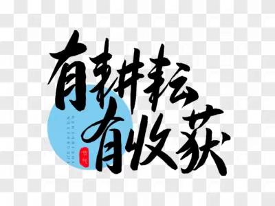 深耕细作笃前行,一朝收获终有成