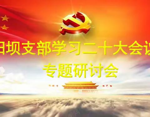 城关镇旬阳坝支部学习二十大精神专题研讨会